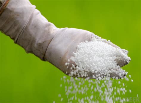 Urea .